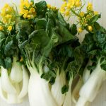 4 Favorite Anti-Inflammatory Foods | Bok Choy | Andrew Weil, M.D.