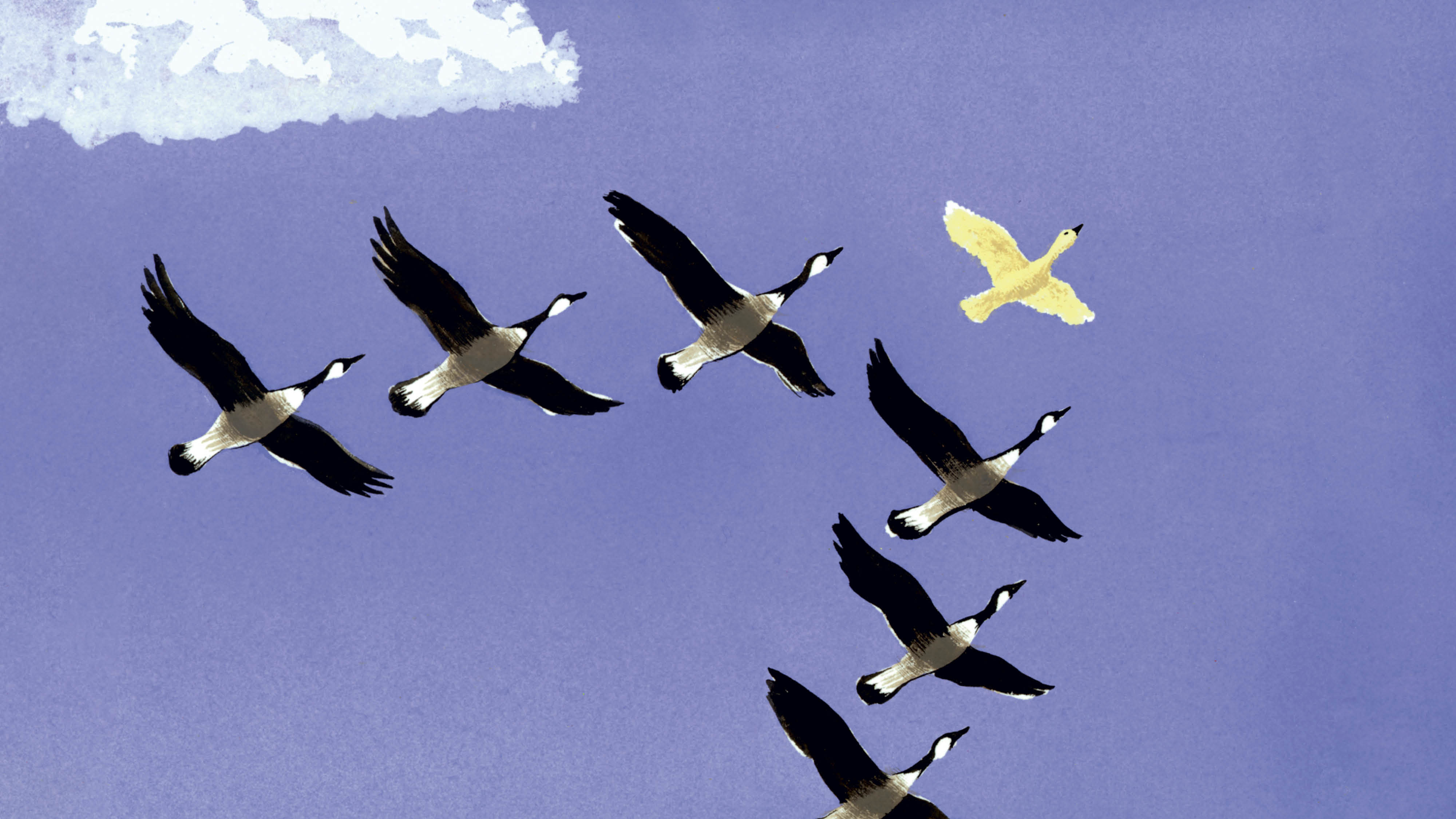 CT July 2024 Feature Leading The Way