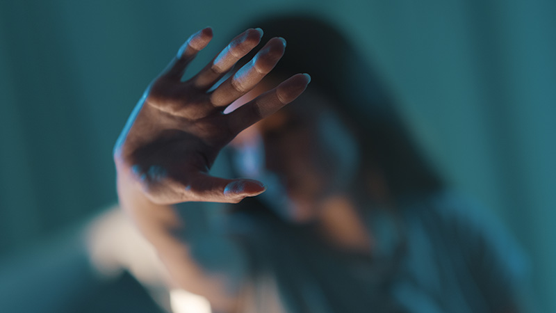 Domestic Violence 101 Webinar