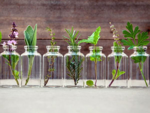 Essential Oils For Health: Uses & Benefits | Infographic | Andrew Weil, M.D.