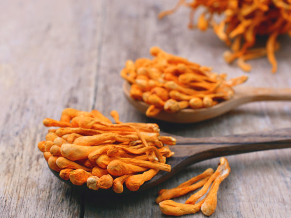 Cordyceps For Better Exercise? | Exercise & Fitness | Andrew Weil, M.D.