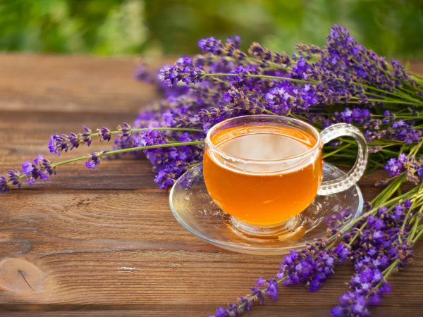Lavender Ingestibles For Anxiety And Depression? | Stress & Anxiety | Andrew Weil, M.D.