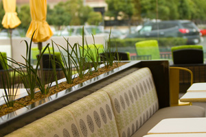 true food outdoor patio